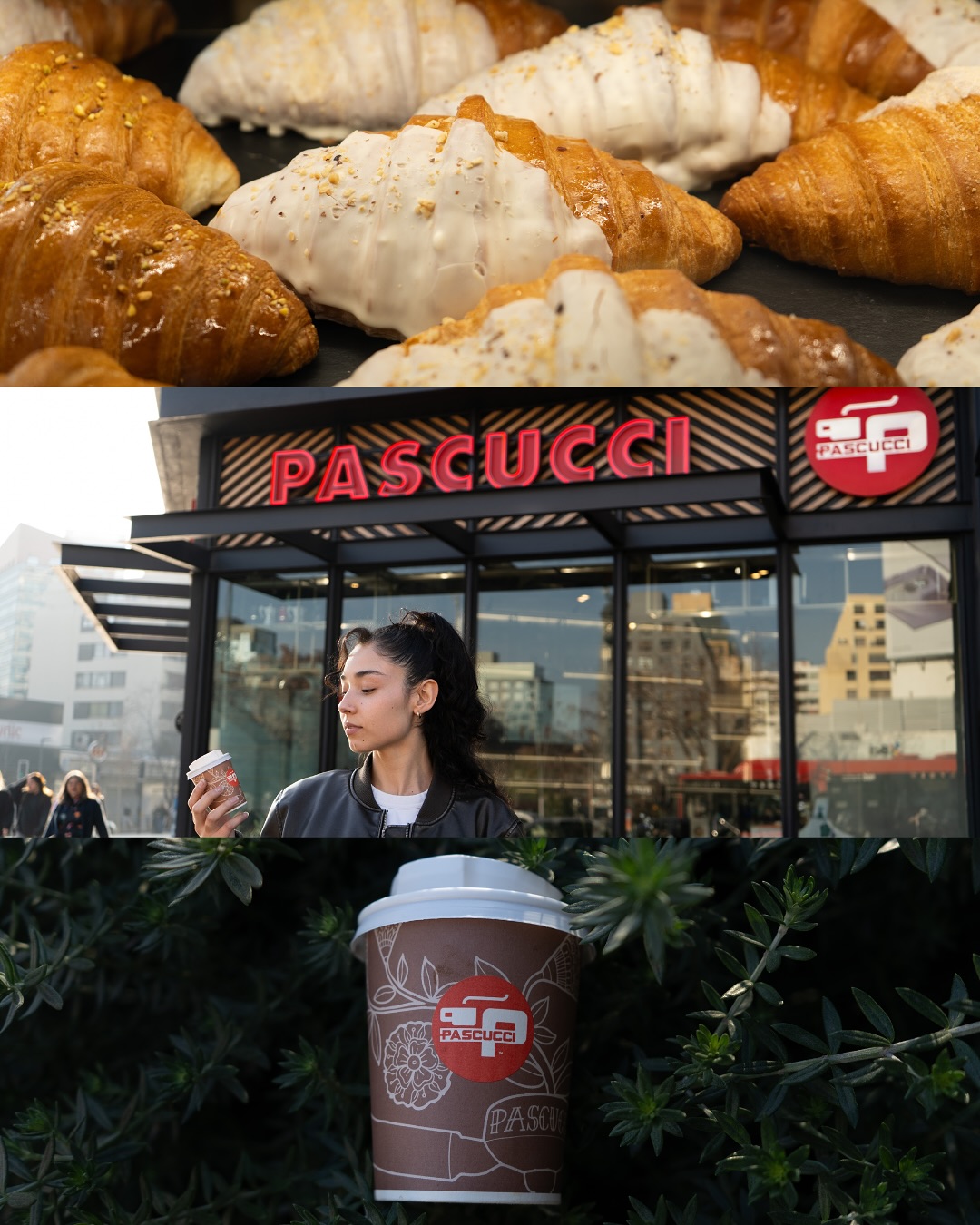 Pascucci: pascucci mut