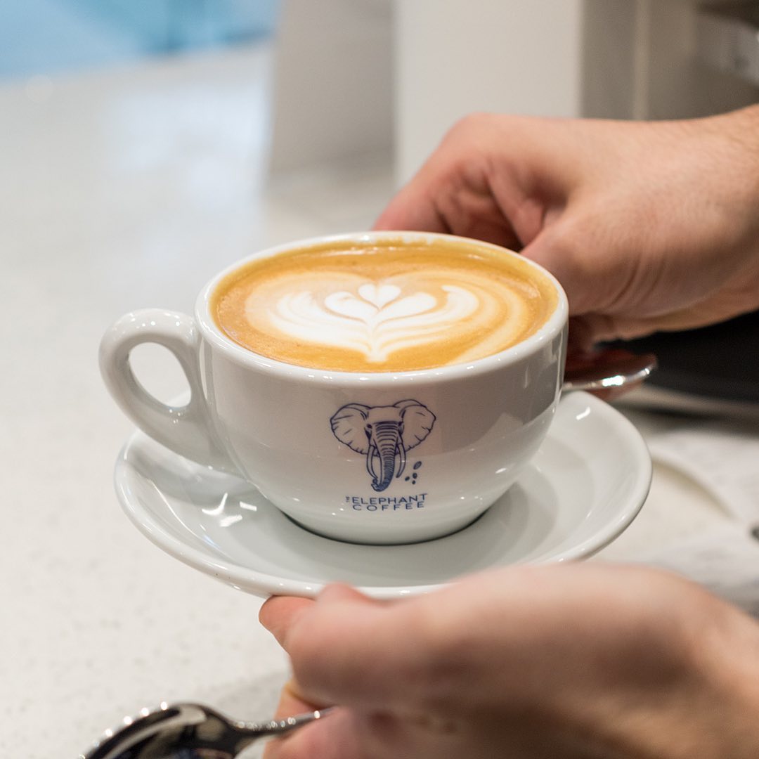 The Elephant Coffee: cafecito